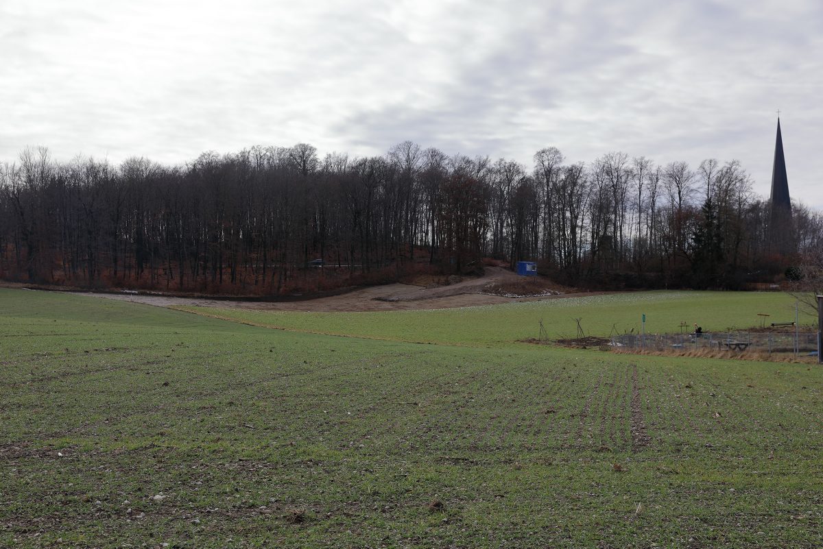 Kuckuckswald intakt